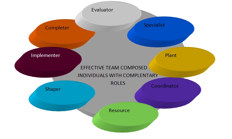 Belbin (2010)’s effective team model