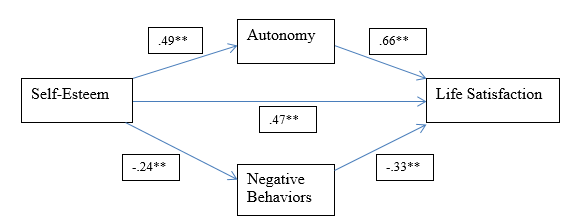 Self-esteem positively correlates with autonomy and life satisfaction