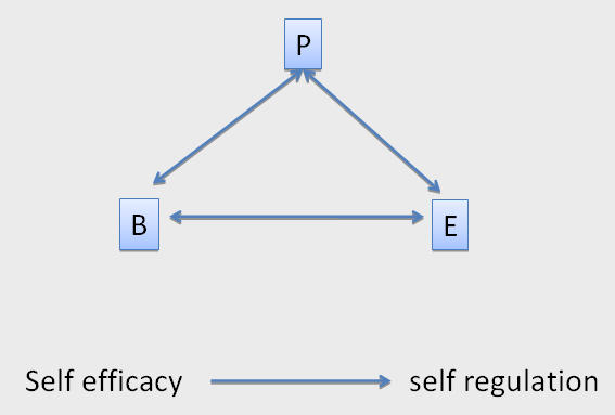 Bandura theory self discount efficacy