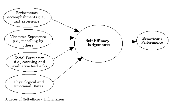 Appendix A: diagram explaining the theory of self-efficacy