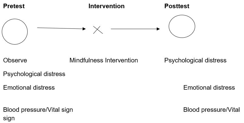 Conceptual Framework of the Study