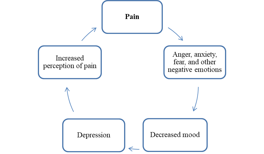 the-cycle-of-pain-and-healing-in-humans-psychology-paper-example