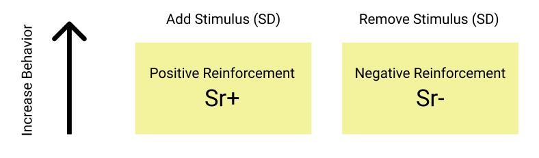 Positive and Negative Reinforcement