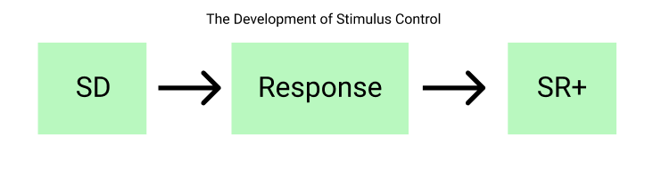 Procedures for Developing Stimulus Control, Stimulus Discrimination, and Stimulus Generalization