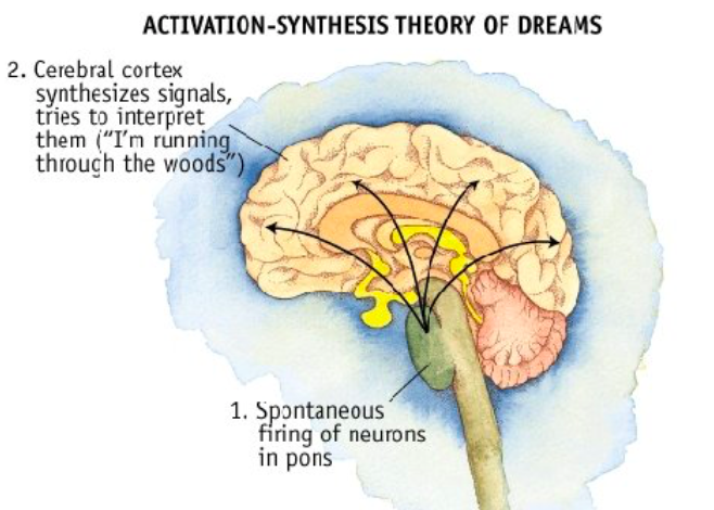 The Activation-Synthesis Theory