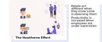 Hawthorne Effect