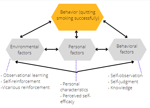 SCT theory map for quitting smoking