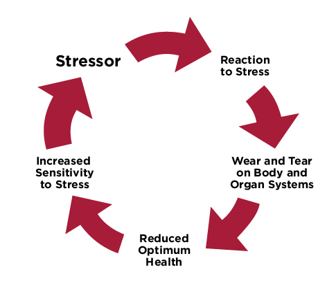 Organizational and Individual Stress Management