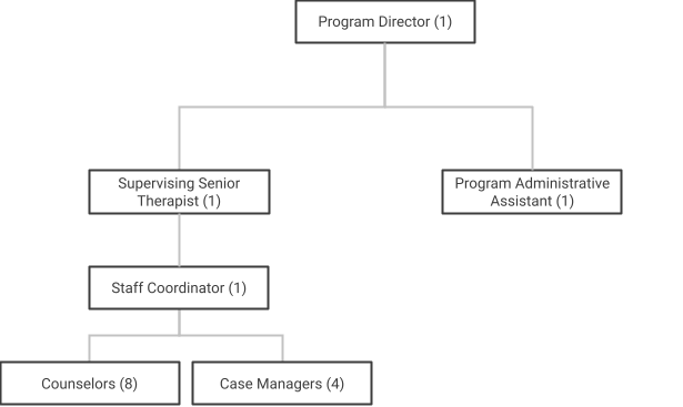 The organizational chart for a psychotherapeutic program.